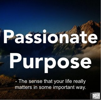 What makes you happy: Passionate Purpose