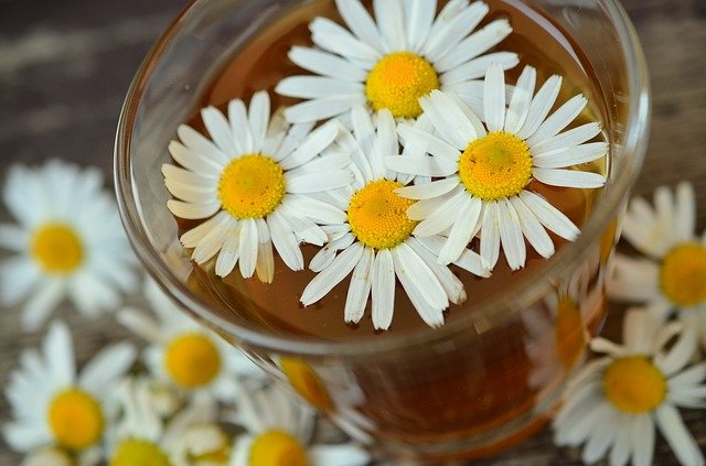 ​Tea for Calmness: 10 Teas to Calm Stress and Anxiety