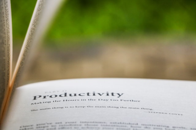 Productivity: Definition, Examples, & Tips