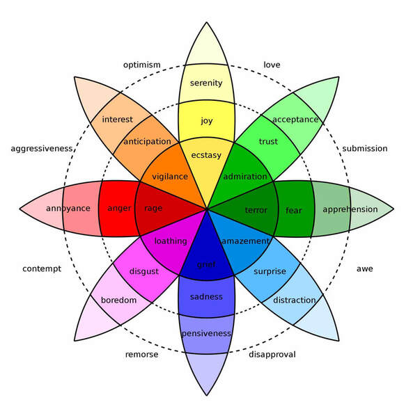 The Emotion Wheel: Purpose, Definition, and Uses